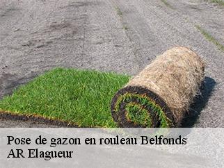 Pose de gazon en rouleau belfonds-61500 AR Elagueur