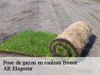 Pose de gazon en rouleau  boece-61560 AR Elagueur