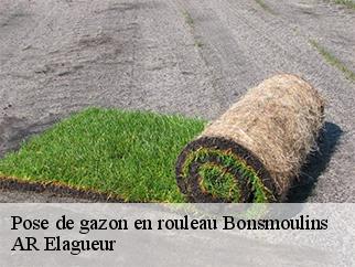 Pose de gazon en rouleau bonsmoulins-61380 AR Elagueur