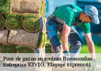 Pose de gazon en rouleau  bonsmoulins-61380 Entreprise KIVIG, Elagage express 61