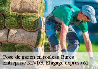 Pose de gazon en rouleau  bures-61170 Entreprise KIVIG, Elagage express 61
