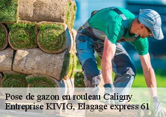 Pose de gazon en rouleau  caligny-61100 Entreprise KIVIG, Elagage express 61