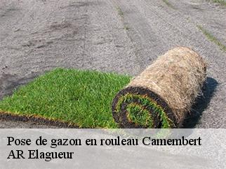 Pose de gazon en rouleau camembert-61120 AR Elagueur