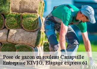 Pose de gazon en rouleau  canapville-61120 Entreprise KIVIG, Elagage express 61