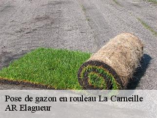 Pose de gazon en rouleau la-carneille-61100 AR Elagueur