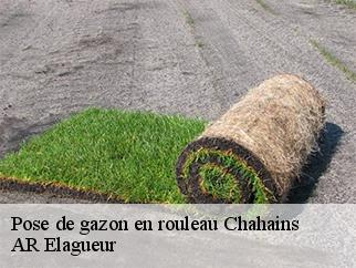 Pose de gazon en rouleau  chahains-61320 AR Elagueur