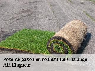 Pose de gazon en rouleau le-chalange-61390 AR Elagueur