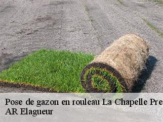 Pose de gazon en rouleau  la-chapelle-pres-sees-61500 AR Elagueur