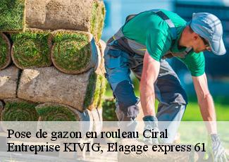Pose de gazon en rouleau  ciral-61320 Entreprise KIVIG, Elagage express 61
