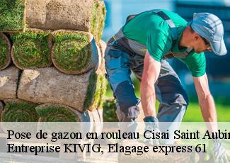 Pose de gazon en rouleau  cisai-saint-aubin-61230 Entreprise KIVIG, Elagage express 61
