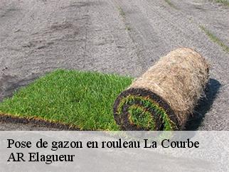 Pose de gazon en rouleau la-courbe-61150 AR Elagueur
