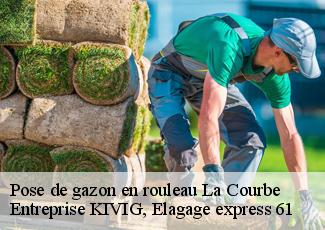 Pose de gazon en rouleau  la-courbe-61150 Entreprise KIVIG, Elagage express 61