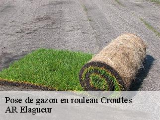 Pose de gazon en rouleau crouttes-61120 AR Elagueur
