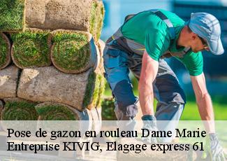 Pose de gazon en rouleau  dame-marie-61130 Entreprise KIVIG, Elagage express 61