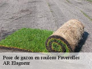 Pose de gazon en rouleau  faverolles-61600 AR Elagueur