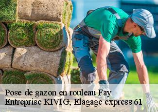 Pose de gazon en rouleau  fay-61390 Entreprise KIVIG, Elagage express 61