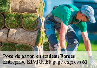 Pose de gazon en rouleau  forges-61250 Entreprise KIVIG, Elagage express 61