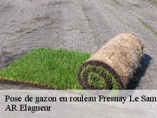 Pose de gazon en rouleau  fresnay-le-samson-61120 AR Elagueur
