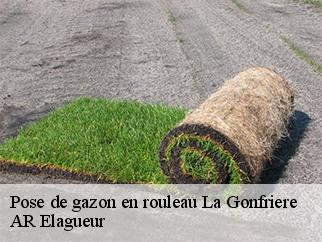 Pose de gazon en rouleau la-gonfriere-61550 AR Elagueur