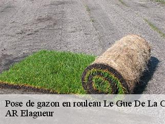 Pose de gazon en rouleau le-gue-de-la-chaine-61130 AR Elagueur