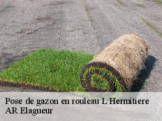 Pose de gazon en rouleau  l-hermitiere-61260 AR Elagueur