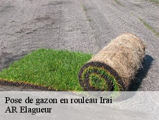 Pose de gazon en rouleau irai-61190 AR Elagueur