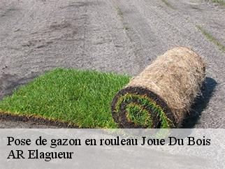 Pose de gazon en rouleau  joue-du-bois-61320 AR Elagueur