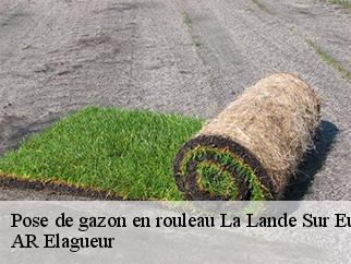 Pose de gazon en rouleau la-lande-sur-eure-61290 AR Elagueur