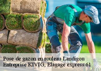 Pose de gazon en rouleau  landigou-61100 Entreprise KIVIG, Elagage express 61