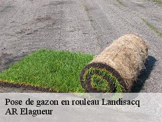 Pose de gazon en rouleau  landisacq-61100 AR Elagueur