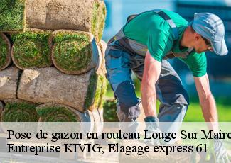 Pose de gazon en rouleau  louge-sur-maire-61150 Entreprise KIVIG, Elagage express 61
