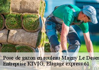 Pose de gazon en rouleau  magny-le-desert-61600 Entreprise KIVIG, Elagage express 61