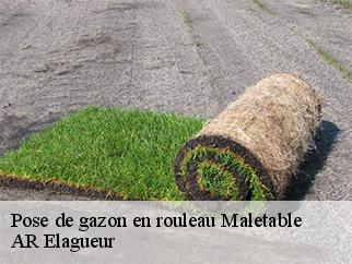 Pose de gazon en rouleau maletable-61290 AR Elagueur