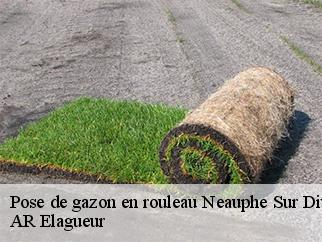 Pose de gazon en rouleau neauphe-sur-dive-61160 AR Elagueur