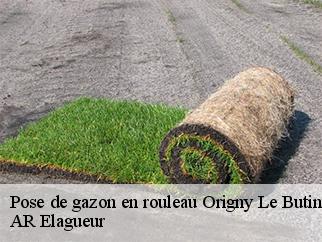 Pose de gazon en rouleau origny-le-butin-61130 AR Elagueur