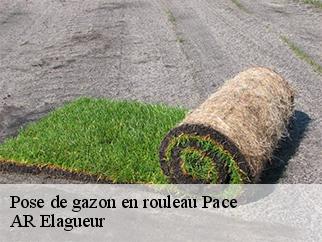 Pose de gazon en rouleau pace-61250 AR Elagueur