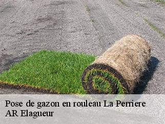 Pose de gazon en rouleau la-perriere-61360 AR Elagueur