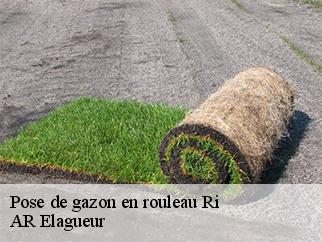 Pose de gazon en rouleau ri-61210 AR Elagueur