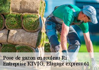 Pose de gazon en rouleau  ri-61210 Entreprise KIVIG, Elagage express 61