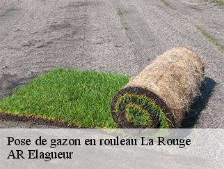 Pose de gazon en rouleau la-rouge-61260 AR Elagueur