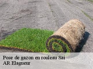 Pose de gazon en rouleau  sai-61200 AR Elagueur