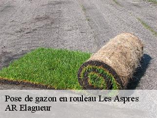 Pose de gazon en rouleau les-aspres-61270 AR Elagueur