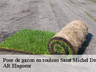 Pose de gazon en rouleau saint-michel-des-andaines-61600 AR Elagueur