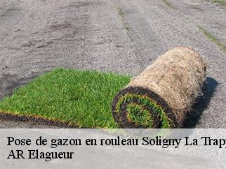 Pose de gazon en rouleau  soligny-la-trappe-61380 AR Elagueur