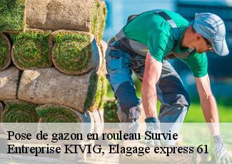 Pose de gazon en rouleau  survie-61310 Entreprise KIVIG, Elagage express 61