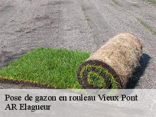 Pose de gazon en rouleau  vieux-pont-61150 AR Elagueur