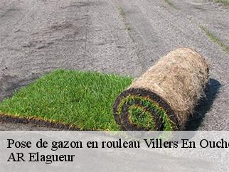 Pose de gazon en rouleau villers-en-ouche-61550 AR Elagueur