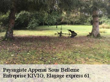 Paysagiste  appenai-sous-belleme-61130 Entreprise KIVIG, Elagage express 61