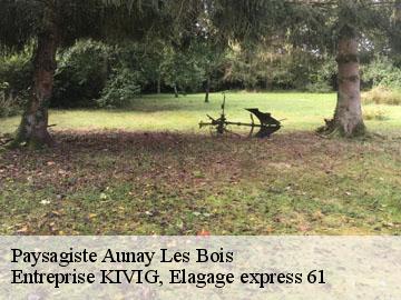 Paysagiste  aunay-les-bois-61500 Entreprise KIVIG, Elagage express 61