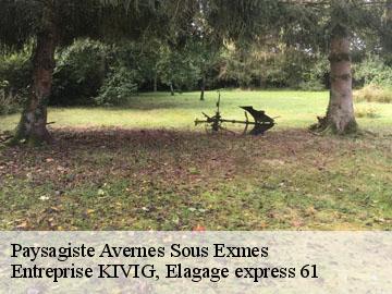 Paysagiste  avernes-sous-exmes-61310 Entreprise KIVIG, Elagage express 61